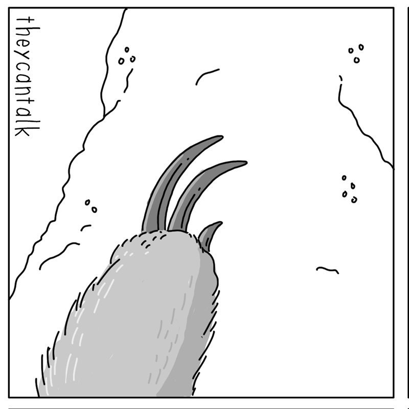 https://cdn-dev.tinyview.com/they-can-talk/2022/07/11/nuts/anteater_ants1.jpg