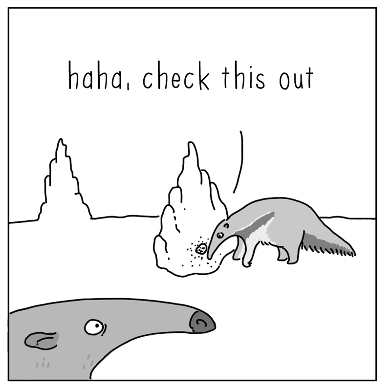 https://cdn-dev.tinyview.com/they-can-talk/2022/07/11/nuts/anteater_ants3.jpg