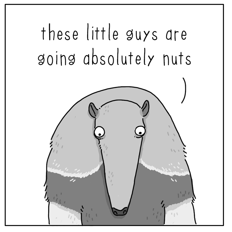 https://cdn-dev.tinyview.com/they-can-talk/2022/07/11/nuts/anteater_ants4.jpg