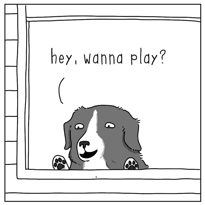 https://cdn-dev.tinyview.com/they-can-talk/2022/07/29/play/dog_play1.jpg