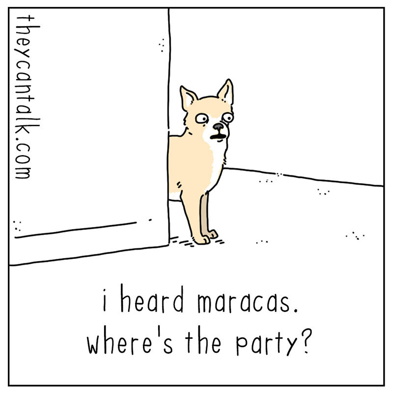 https://cdn-dev.tinyview.com/they-can-talk/2022/08/12/maracas/dog_maracas_1.jpg
