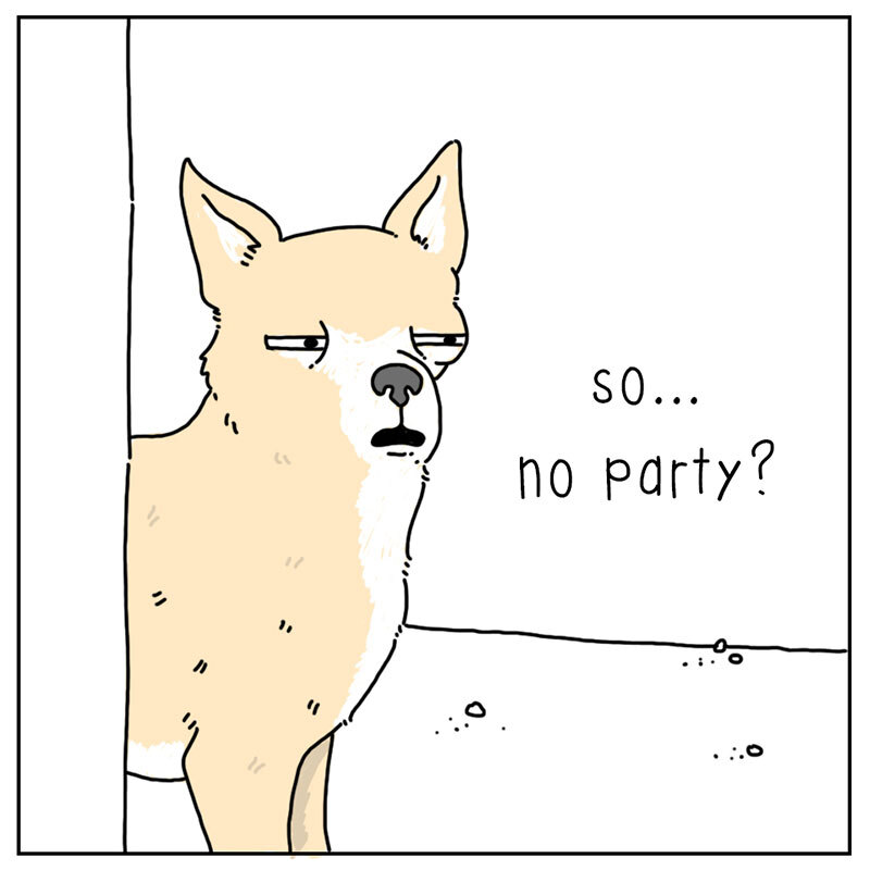https://cdn-dev.tinyview.com/they-can-talk/2022/08/12/maracas/dog_maracas_4.jpg