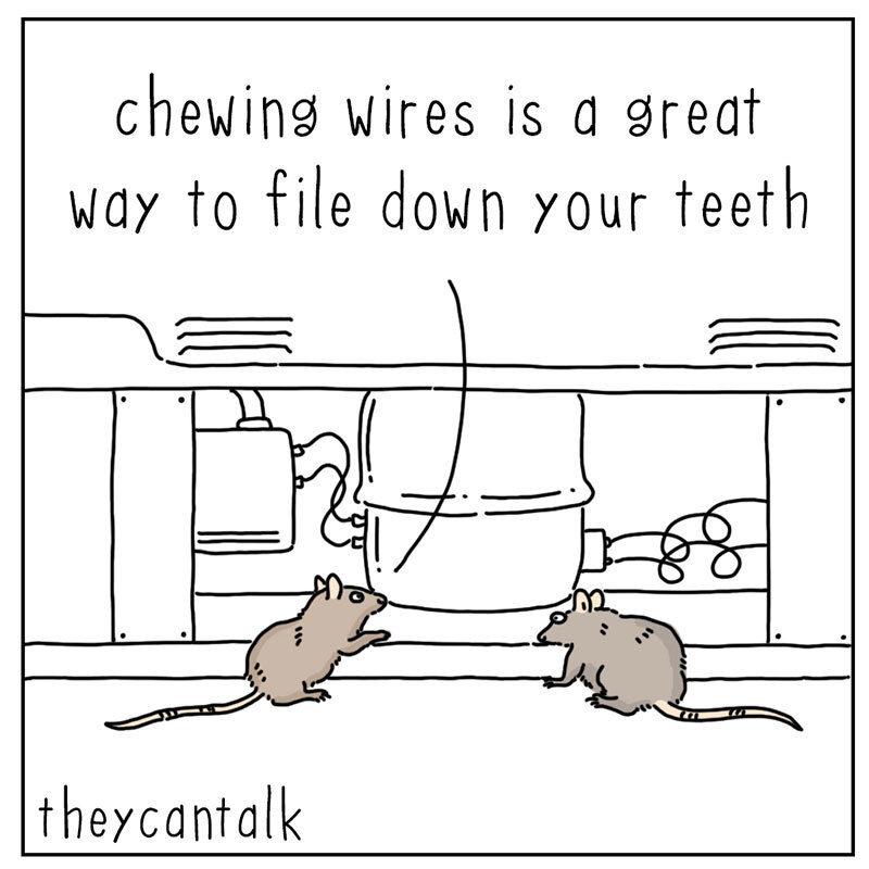 https://cdn-dev.tinyview.com/they-can-talk/2022/08/29/wires/mice_wires1.jpg
