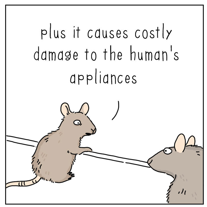 https://cdn-dev.tinyview.com/they-can-talk/2022/08/29/wires/mice_wires2.jpg