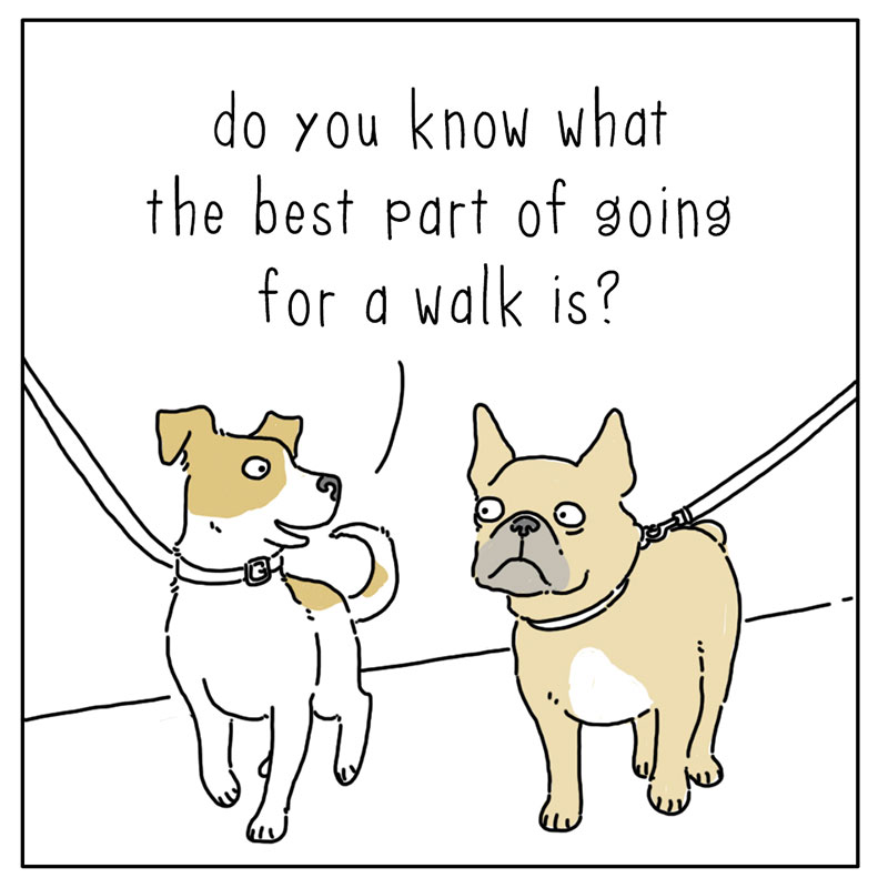 https://cdn-dev.tinyview.com/they-can-talk/2022/09/09/walks/dog_walks_1.jpg