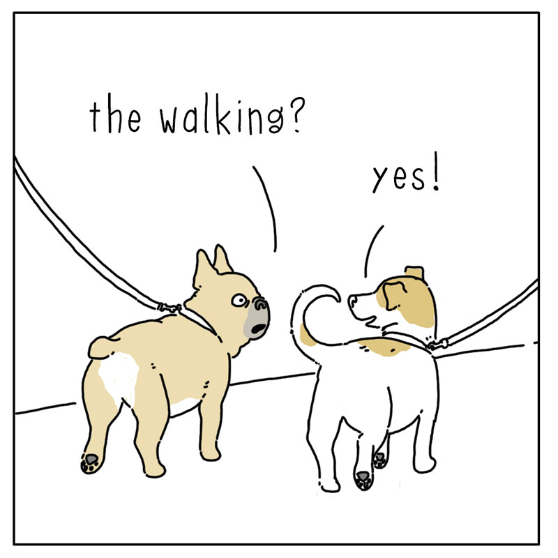 https://cdn-dev.tinyview.com/they-can-talk/2022/09/09/walks/dog_walks_2.jpg