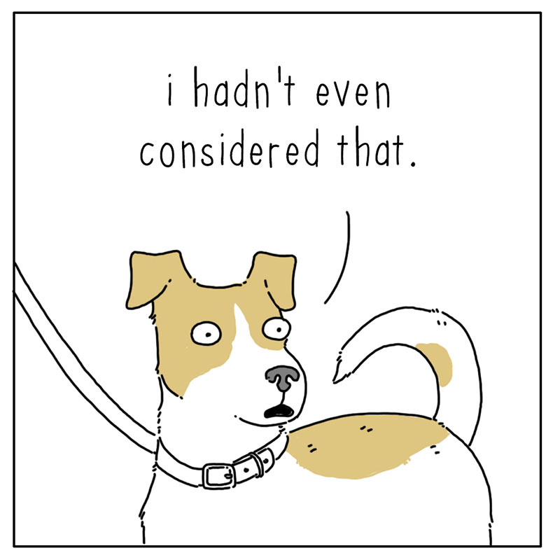 https://cdn-dev.tinyview.com/they-can-talk/2022/09/09/walks/dog_walks_4.jpg