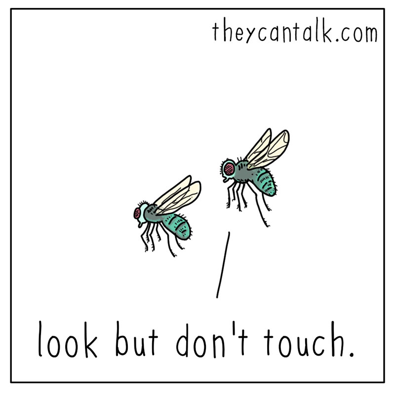 https://cdn-dev.tinyview.com/they-can-talk/2022/09/22/art/spider_art_2.jpg
