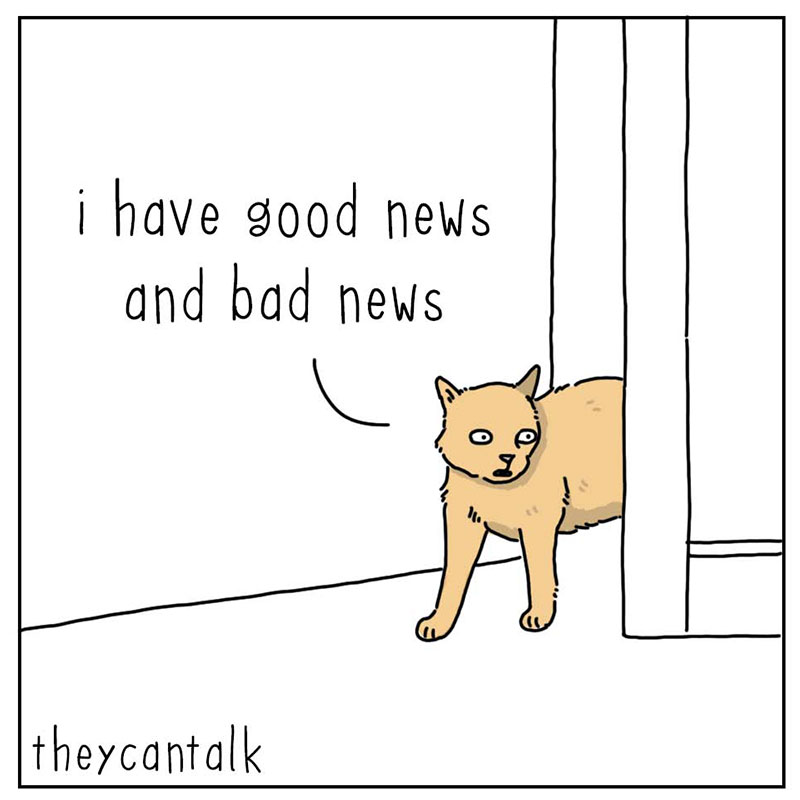 https://cdn-dev.tinyview.com/they-can-talk/2022/10/02/news/cat_news_1.jpg