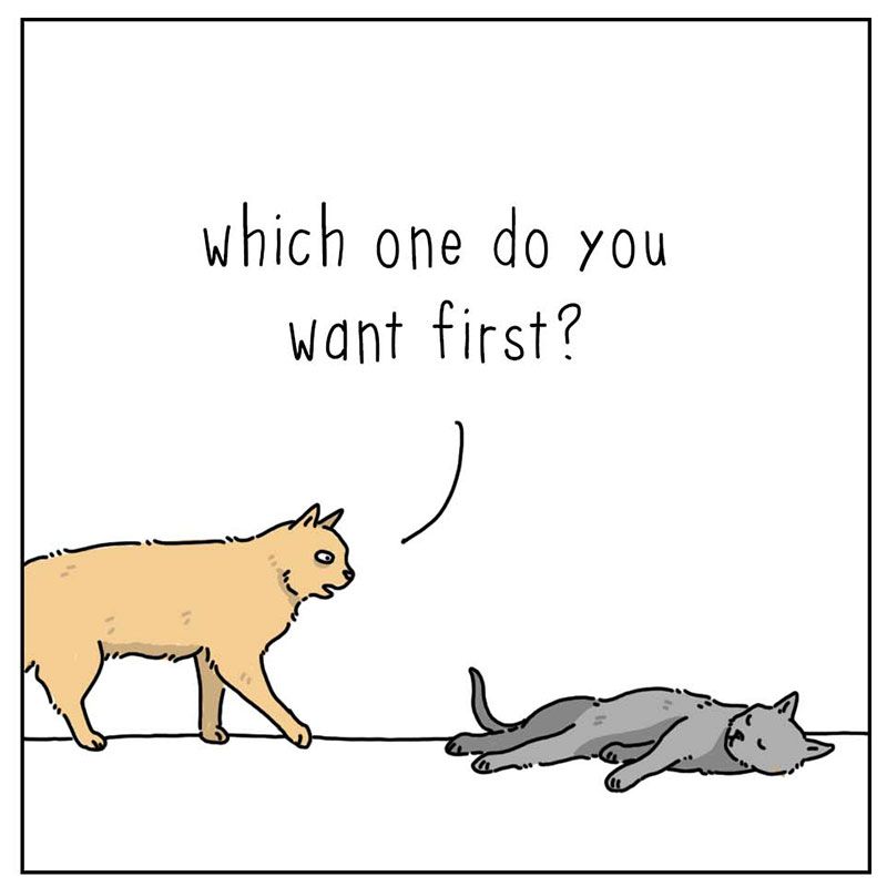 https://cdn-dev.tinyview.com/they-can-talk/2022/10/02/news/cat_news_2.jpg