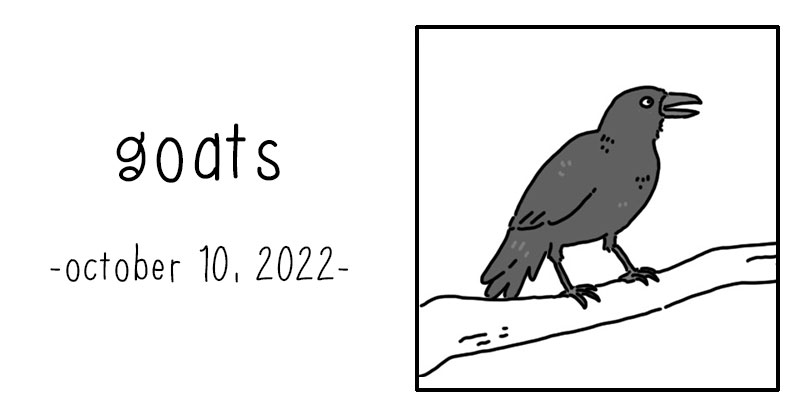 https://cdn-dev.tinyview.com/they-can-talk/2022/10/10/goats/crow_goats_preview.jpg
