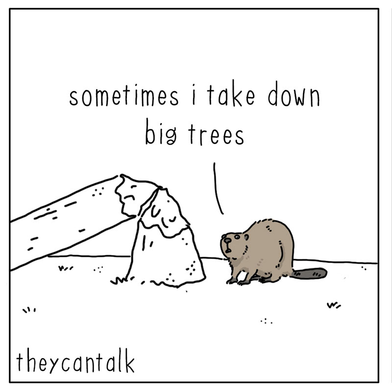 https://cdn-dev.tinyview.com/they-can-talk/2022/10/17/credit/beaver_credit_1.jpg