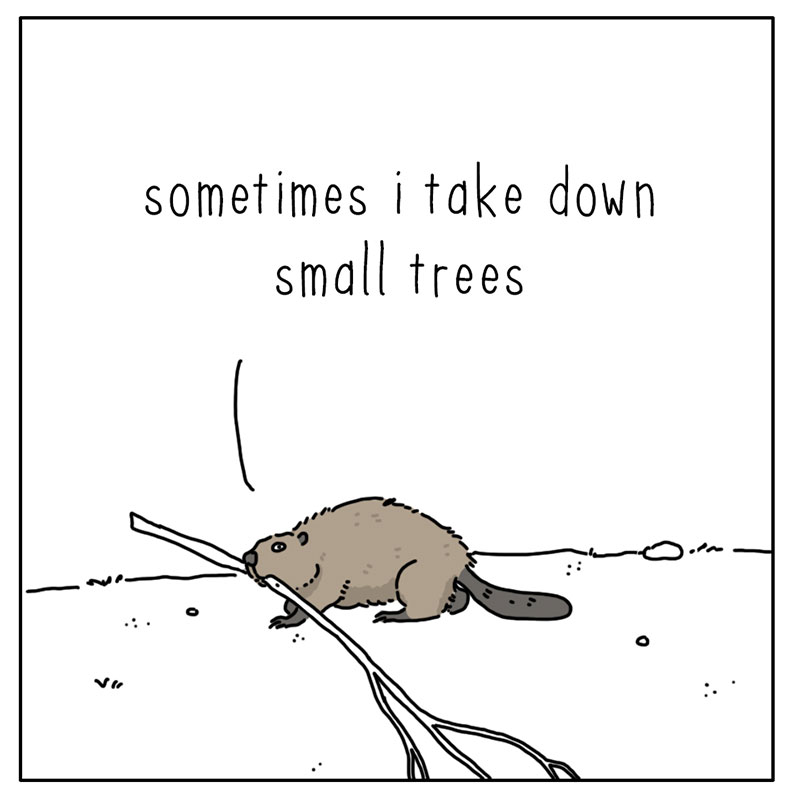 https://cdn-dev.tinyview.com/they-can-talk/2022/10/17/credit/beaver_credit_2.jpg