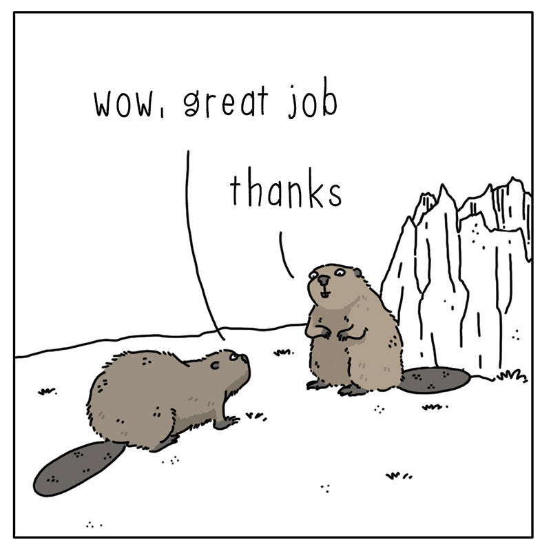 https://cdn-dev.tinyview.com/they-can-talk/2022/10/17/credit/beaver_credit_4.jpg
