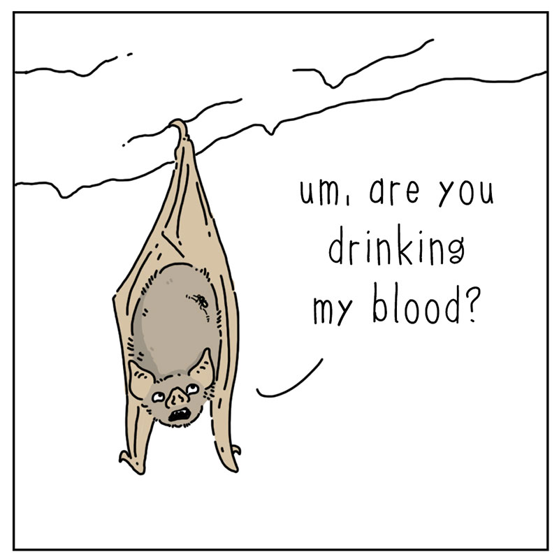 https://cdn-dev.tinyview.com/they-can-talk/2022/10/24/blood/bat_blood_1.jpg