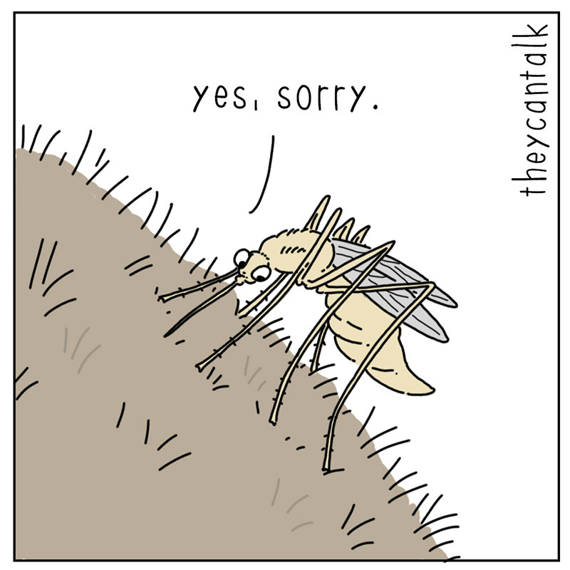 https://cdn-dev.tinyview.com/they-can-talk/2022/10/24/blood/bat_blood_2.jpg