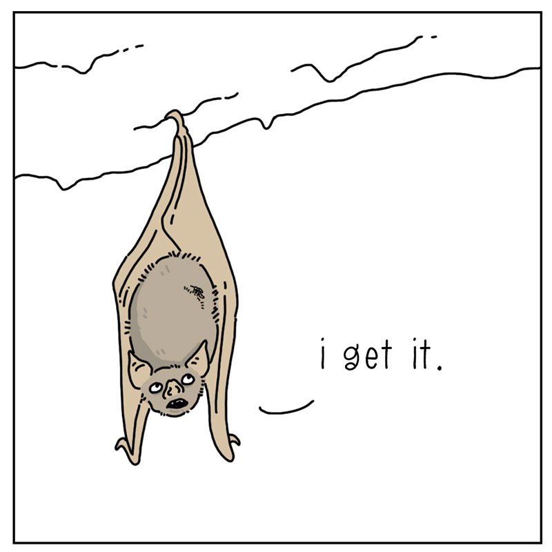 https://cdn-dev.tinyview.com/they-can-talk/2022/10/24/blood/bat_blood_4.jpg