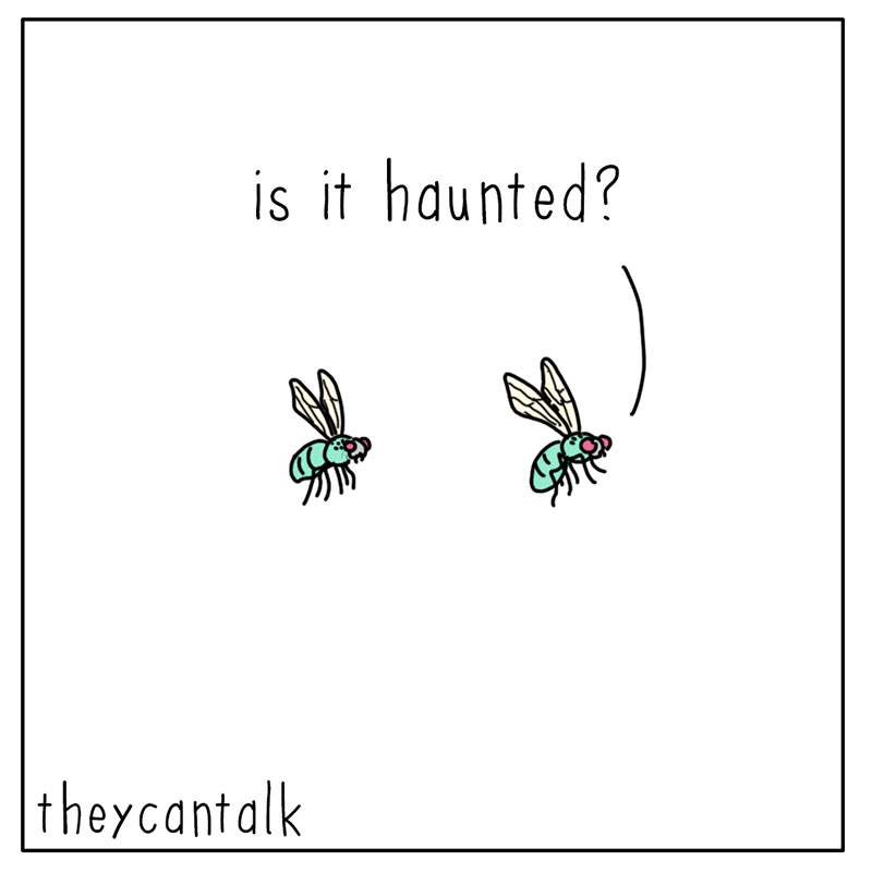 https://cdn-dev.tinyview.com/they-can-talk/2022/10/31/haunted/fly_haunted_1.jpg