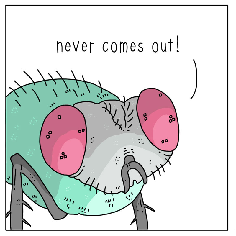 https://cdn-dev.tinyview.com/they-can-talk/2022/10/31/haunted/fly_haunted_3.jpg