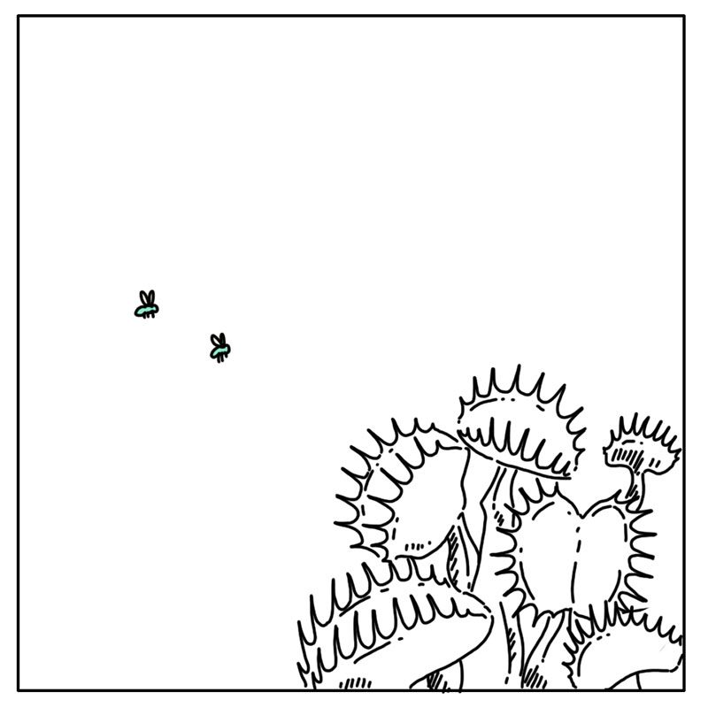 https://cdn-dev.tinyview.com/they-can-talk/2022/10/31/haunted/fly_haunted_4.jpg