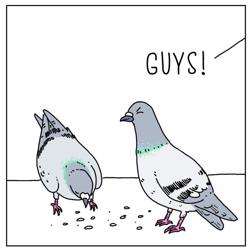 https://cdn-dev.tinyview.com/they-can-talk/2022/12/16/urgent/pigeon_hat2.jpg