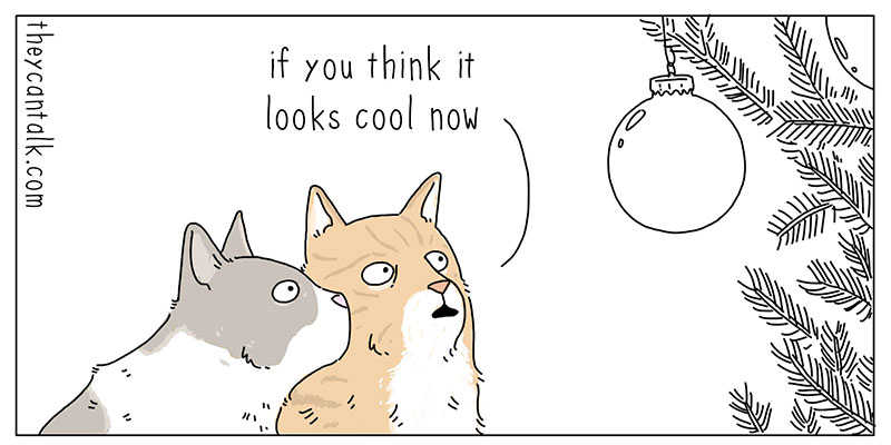 https://cdn-dev.tinyview.com/they-can-talk/2022/12/23/ornament/cat_ornament1.jpg