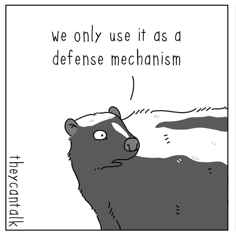 https://cdn-dev.tinyview.com/they-can-talk/2023/01/23/stink/skunk_stink3.jpg