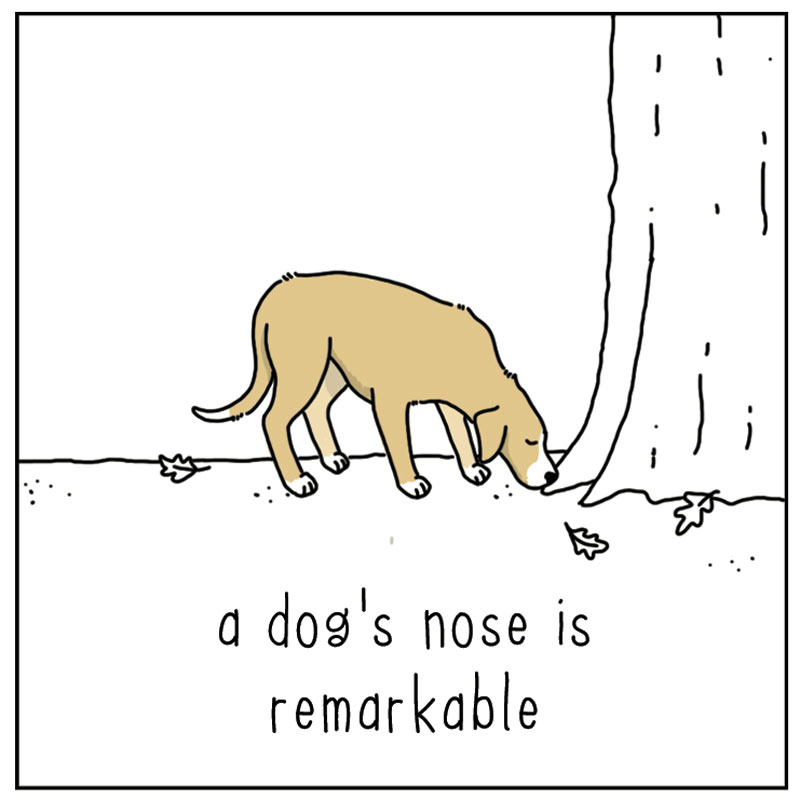 https://cdn-dev.tinyview.com/they-can-talk/2023/02/10/remarkable/dog_remarkable1.jpg