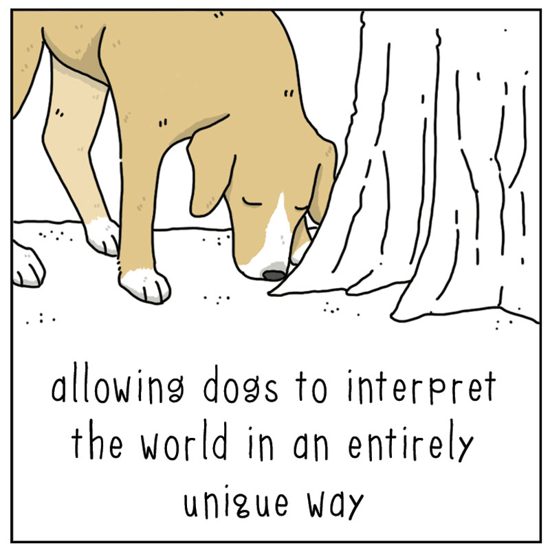 https://cdn-dev.tinyview.com/they-can-talk/2023/02/10/remarkable/dog_remarkable3.jpg