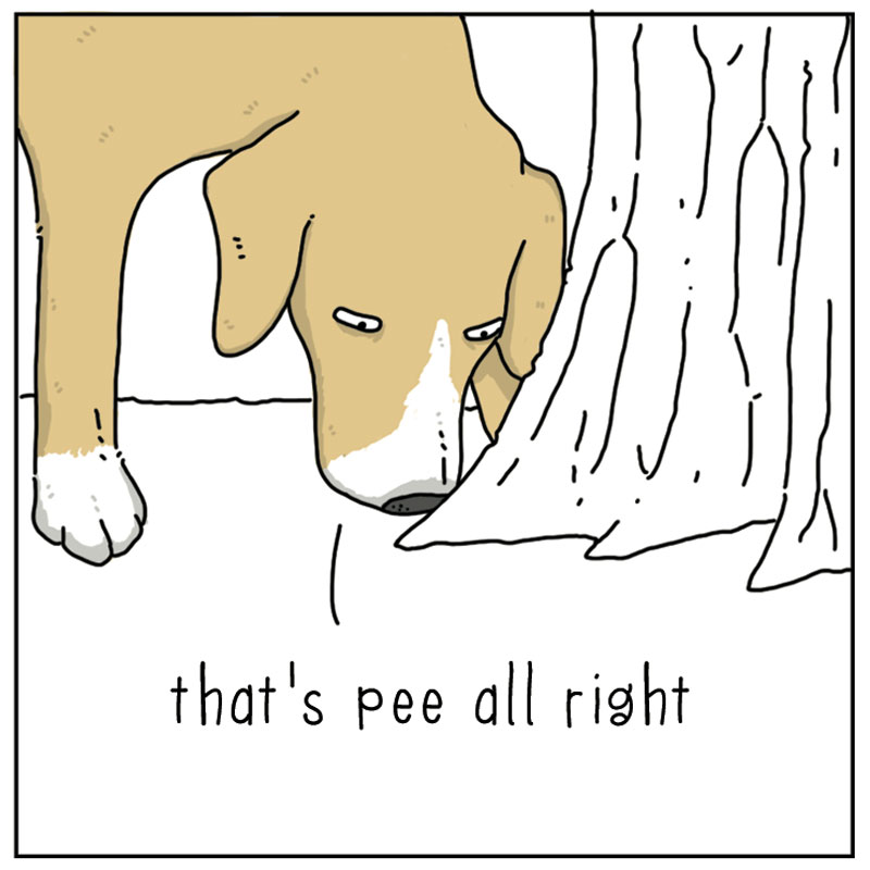 https://cdn-dev.tinyview.com/they-can-talk/2023/02/10/remarkable/dog_remarkable4.jpg