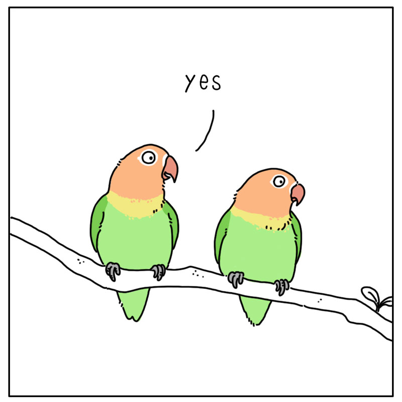 https://cdn-dev.tinyview.com/they-can-talk/2023/02/13/lovebirds/bird_lovebirds2.jpg