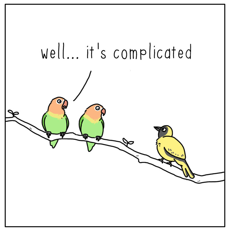 https://cdn-dev.tinyview.com/they-can-talk/2023/02/13/lovebirds/bird_lovebirds4.jpg
