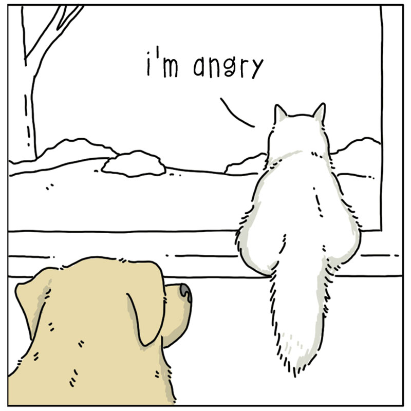 https://cdn-dev.tinyview.com/they-can-talk/2023/02/17/angry/cat_anger1.jpg