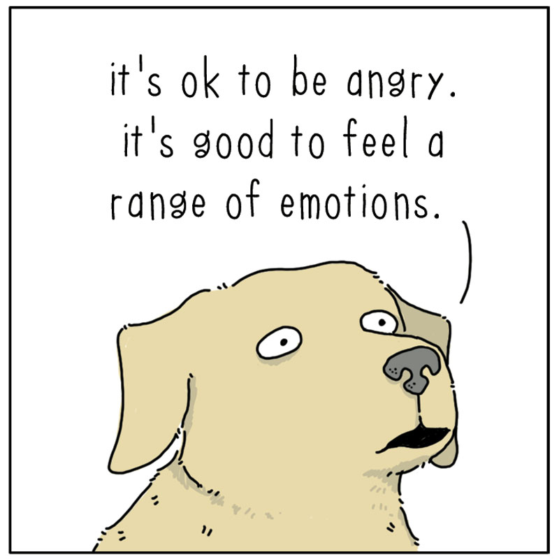 https://cdn-dev.tinyview.com/they-can-talk/2023/02/17/angry/cat_anger2.jpg