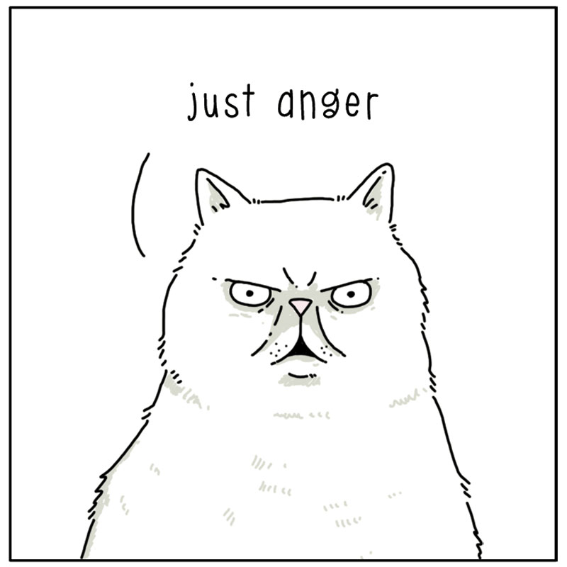 https://cdn-dev.tinyview.com/they-can-talk/2023/02/17/angry/cat_anger4.jpg