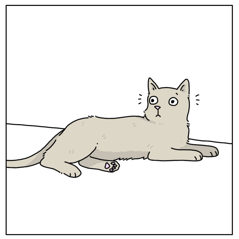 https://cdn-dev.tinyview.com/they-can-talk/2023/03/06/alarm/cat_falsealarm2.jpg