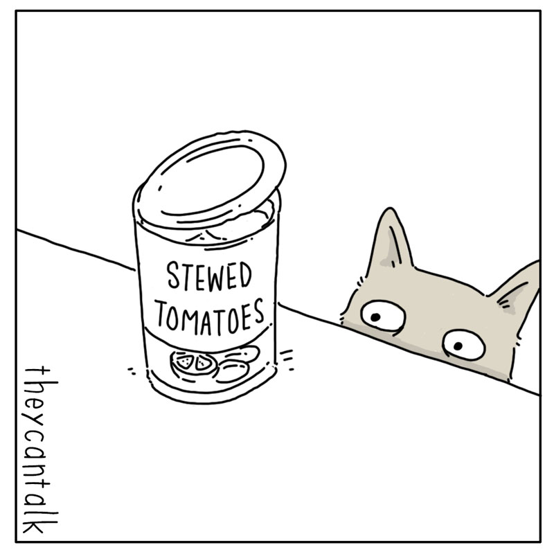 https://cdn-dev.tinyview.com/they-can-talk/2023/03/06/alarm/cat_falsealarm3.jpg