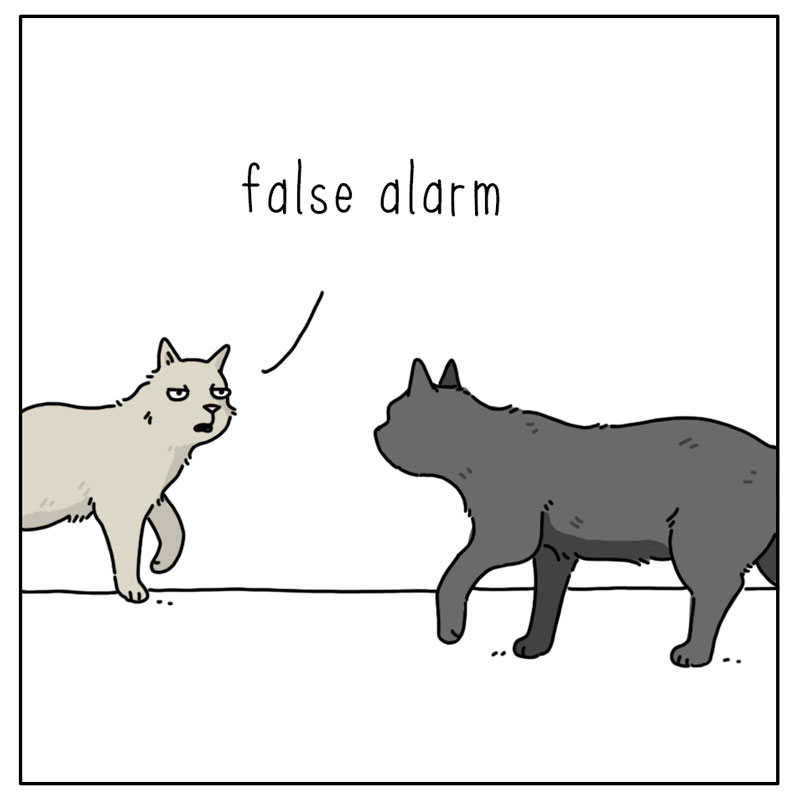 https://cdn-dev.tinyview.com/they-can-talk/2023/03/06/alarm/cat_falsealarm4.jpg