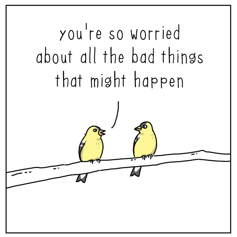 https://cdn-dev.tinyview.com/they-can-talk/2023/03/13/worried/bird_worried1.jpg