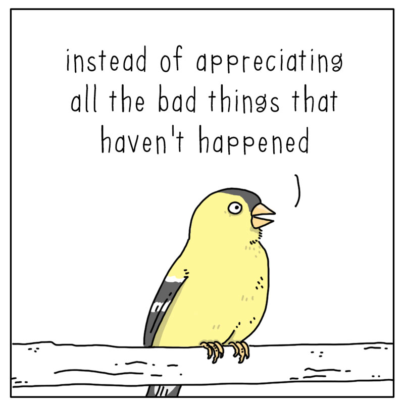 https://cdn-dev.tinyview.com/they-can-talk/2023/03/13/worried/bird_worried2.jpg
