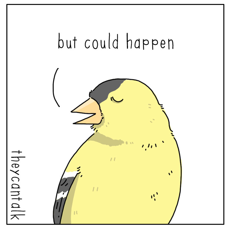 https://cdn-dev.tinyview.com/they-can-talk/2023/03/13/worried/bird_worried3.jpg