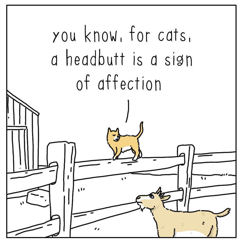 https://cdn-dev.tinyview.com/they-can-talk/2023/03/17/affection/cat_affection1.jpg