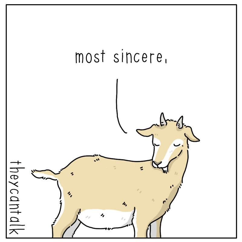 https://cdn-dev.tinyview.com/they-can-talk/2023/03/17/affection/cat_affection3.jpg