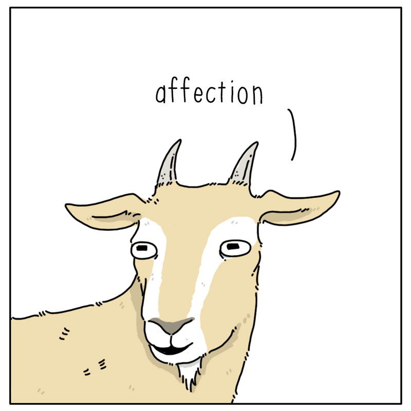 https://cdn-dev.tinyview.com/they-can-talk/2023/03/17/affection/cat_affection4.jpg