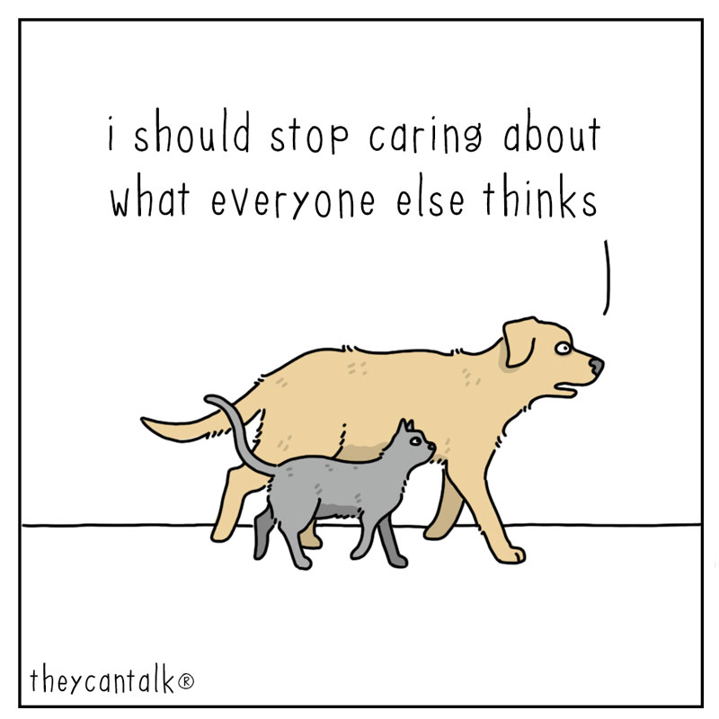 https://cdn-dev.tinyview.com/they-can-talk/2023/03/27/insecurity/dog_insecurity1.jpg