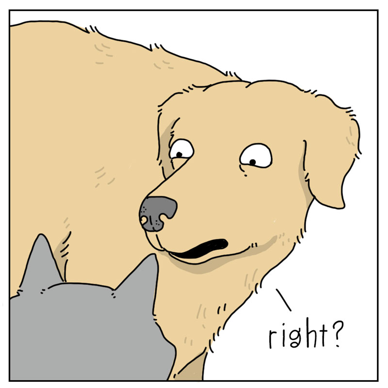 https://cdn-dev.tinyview.com/they-can-talk/2023/03/27/insecurity/dog_insecurity2.jpg