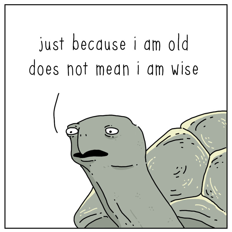 https://cdn-dev.tinyview.com/they-can-talk/2023/04/10/wise/tortoise_wise2.jpg
