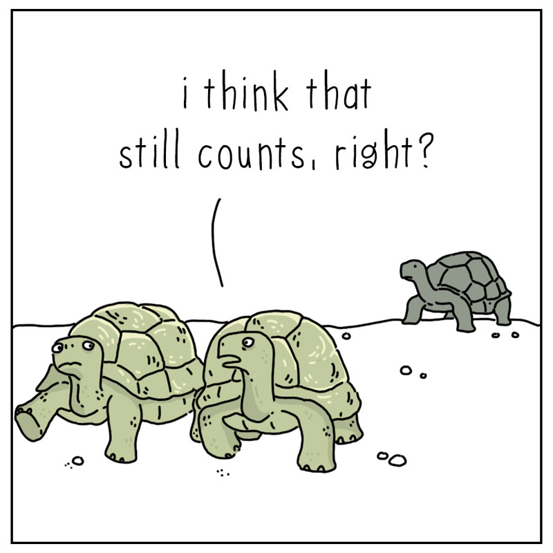 https://cdn-dev.tinyview.com/they-can-talk/2023/04/10/wise/tortoise_wise3.jpg