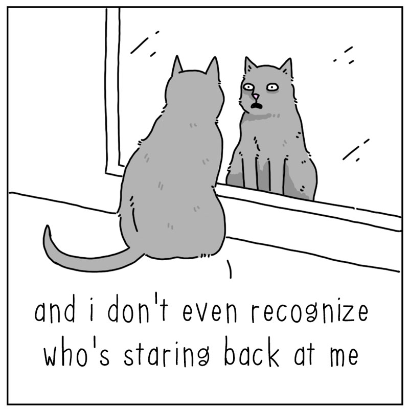 https://cdn-dev.tinyview.com/they-can-talk/2023/04/17/mirror/cat_mirror2.jpg