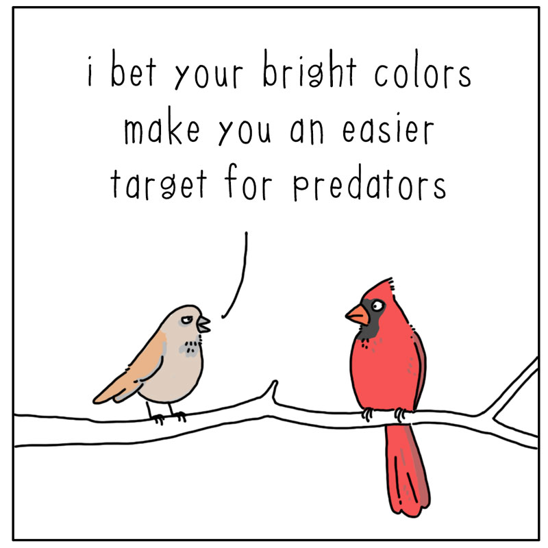 https://cdn-dev.tinyview.com/they-can-talk/2023/04/24/bright/bird_colors1.jpg